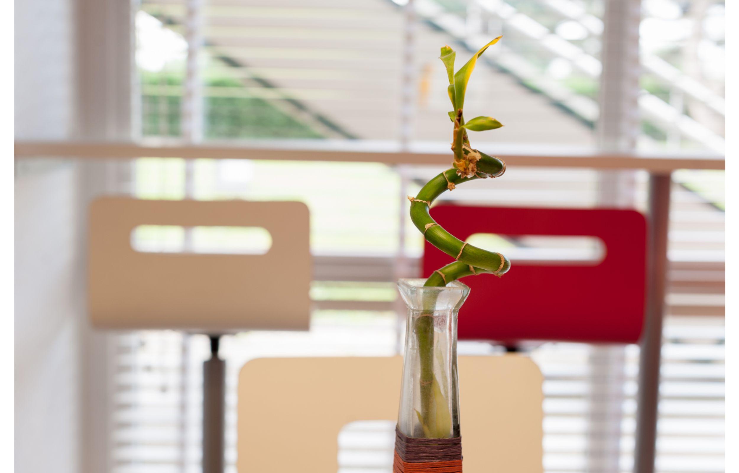 Hotel Premiere Classe Rouen Sud Oissel Saint-Étienne-du-Rouvray Eksteriør billede